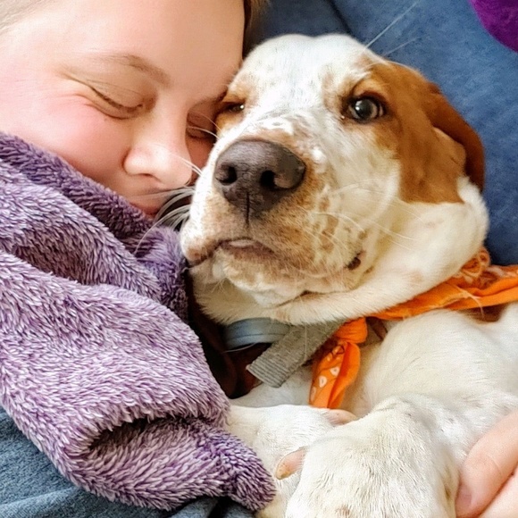 Meet your Posher, Lauren - Picture 1 of 1